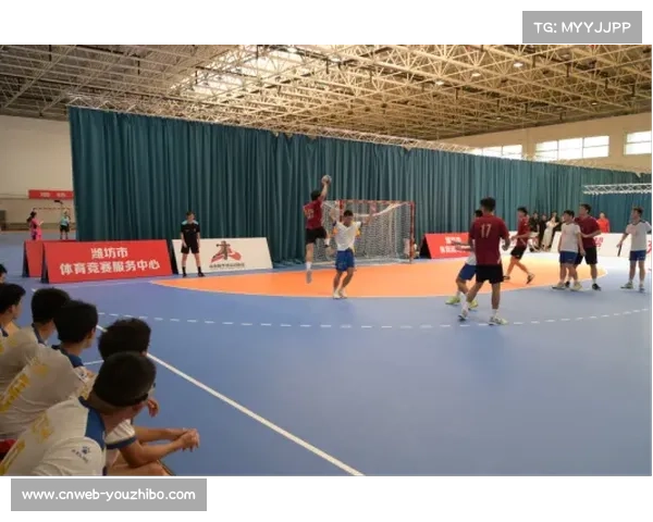 手球名将进校园启动公益计划 三十所中小学加入助力青少年体育发展 手球名将进校园启动公益计划 三十所中小学加入助力青少年体育发展