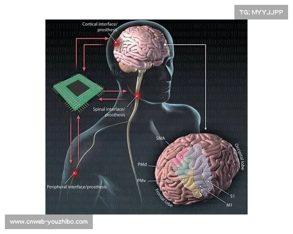 脑机接口技术探索沉浸控制,革新交互方式 脑机接口技术探索沉浸控制,革新交互方式